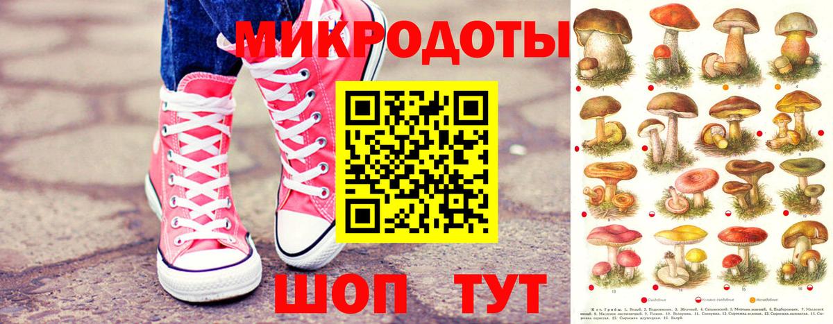 Подольск  Галлюциногенные грибы Psilocybe  Вход с VPN 