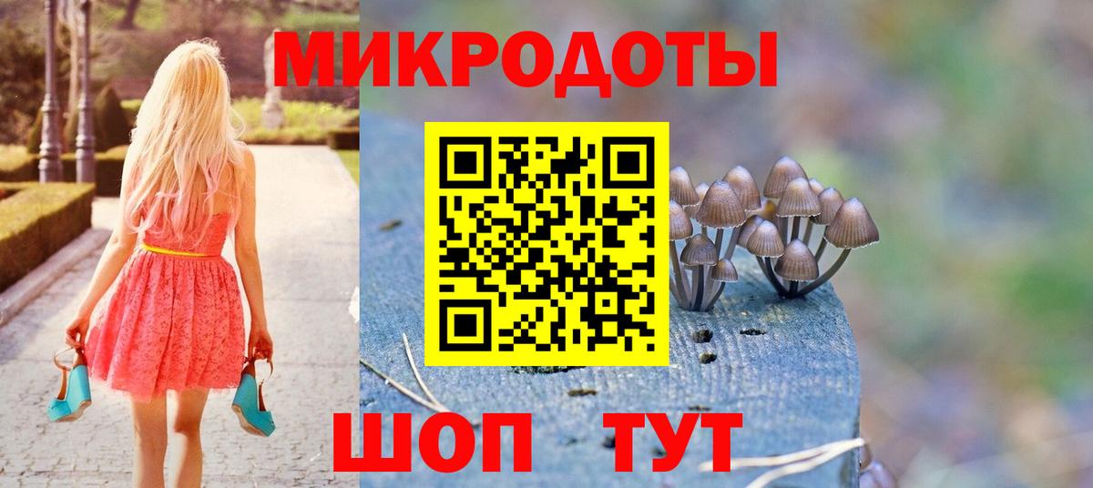 Псилоцибиновые грибы Psilocybine cubensis Подольск